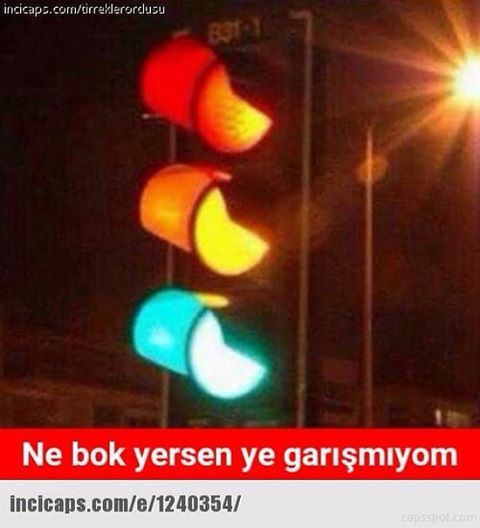 Ne bok yersen ye garışmıyom