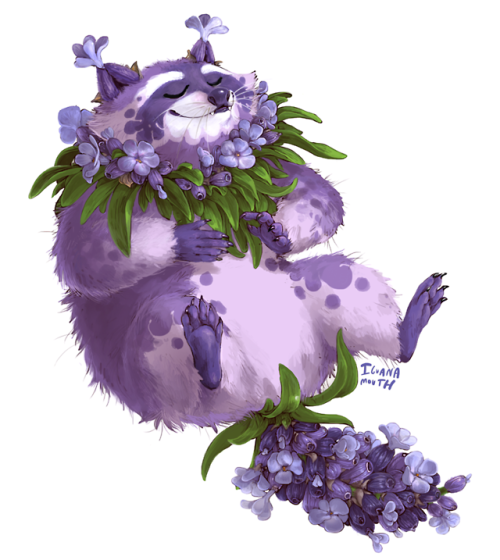 iguanamouth:a LAVENDER RACCOON commission for india !! a simplified version of this might end up as 