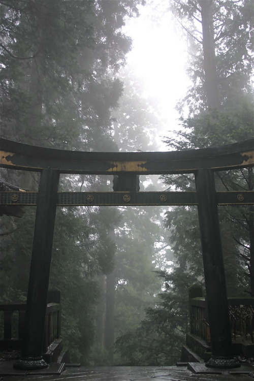 de-preciated:Mist Over Torii Gate (by calzean)Nikko - Tosho-gu Shrine