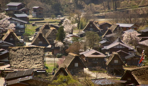 Japanese traditional houses 