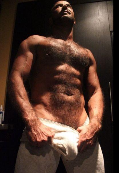 sambrcln:  The two hairy men blogs: http://sambrcln.tumblr.com/archive http://hairysex.tumblr.com/archive 