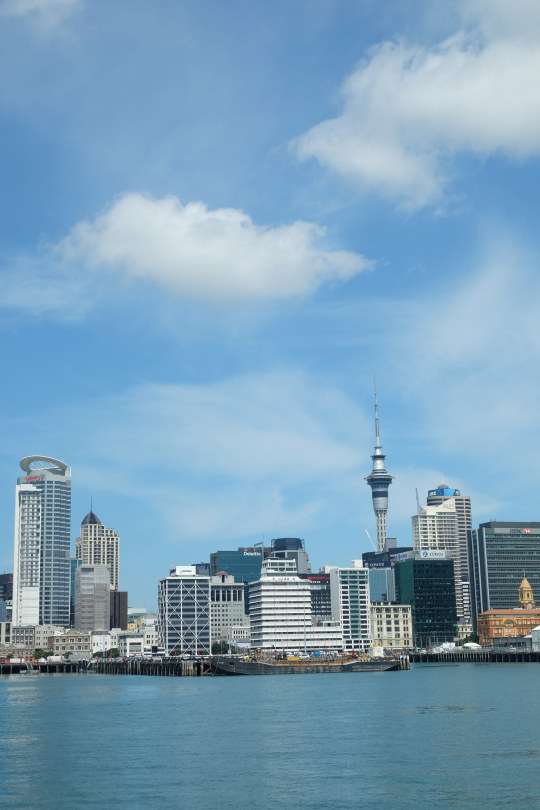 auckland harbour