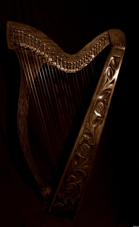 nightfall-in-the-middle-earth:   Celtic harp