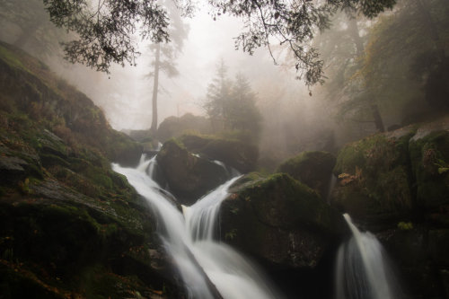 endlessforests-mistymountains:Mist-ical melody of water in fall by MirachRavaia