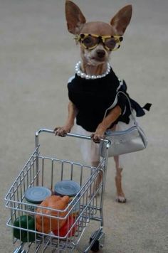 When I Get My Paycheck And Its $3 More Than Usual