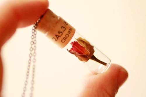 wickedclothes: Rose Bud Necklace Inside of this vintage watchmaker’s vial rests a tiny rosebud