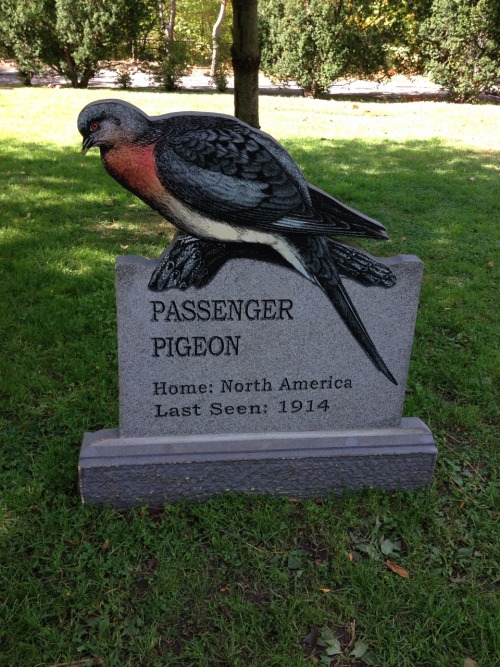 sixth-extinction:This is the Extinct Species Graveyard at the Bronx Zoo in New York. The only “gravestone” not included in this post is that of the Labrador Duck.I was very pleased to find this little display at the zoo even though some of the dates