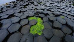 outdoors-photography:  Giant’s causeway,