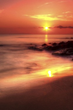 valerriee:  porcvpine:  Evening Colors | Aleksei Malygin  ☮ 