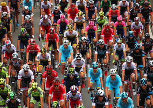 fuckyeahcycling: The peloton rides at the start of stage four of the 2015 Tour de France, a 223.5km 
