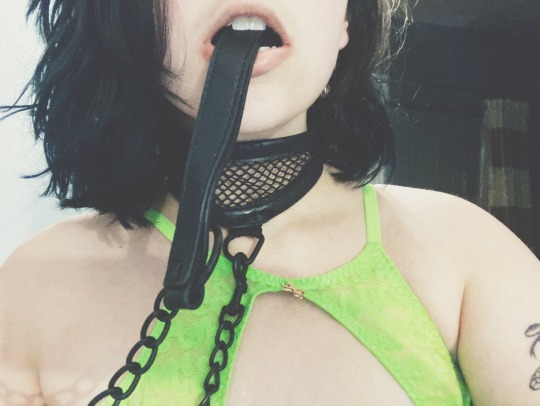 pippeebottom:must be kept on a leash at all times!! (they/them) my links