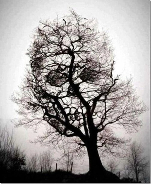 ̶s̶k̶y̶e ̶t̶h̶e ̶p̶u̶n̶k