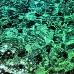 Tropical Blog