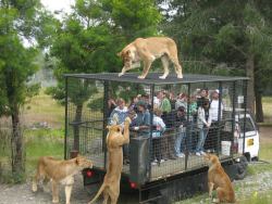muynais:  reverse zoo