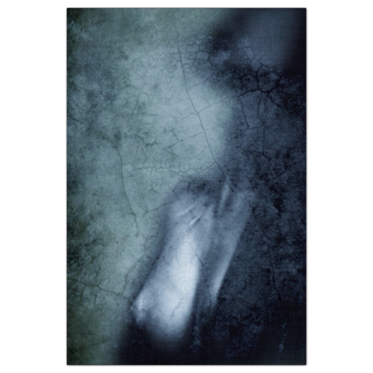 crcliftonart:  Digitalart “lily” C R Clifton. 