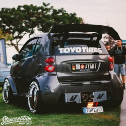 stancenation:  The one and only, @mascunanabear! | Photo by: @itsgoco #tagtoyo #stancenation