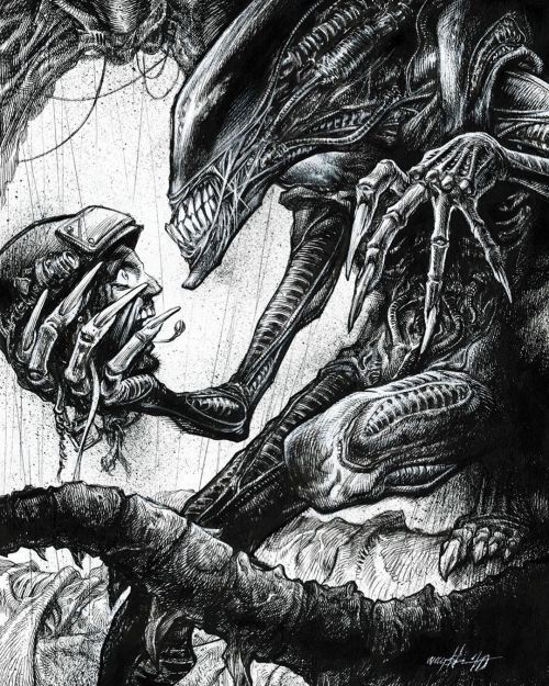 Alien V Predator Drawing by Ralph Harlow - Fine Art America