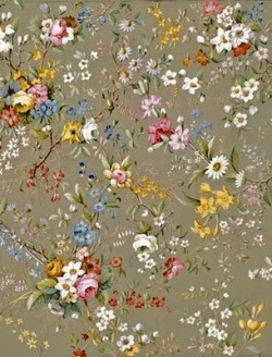  18th century calico designs by Irish artist