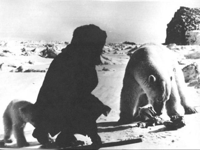 gunrunnerhell:  Comrade Polar Bear Russian scientists and military personnel feeding