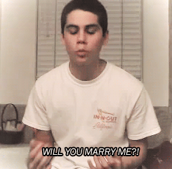 dylan-aka-stiles:  I’D MARRY THE SHIT OUT OF YOU