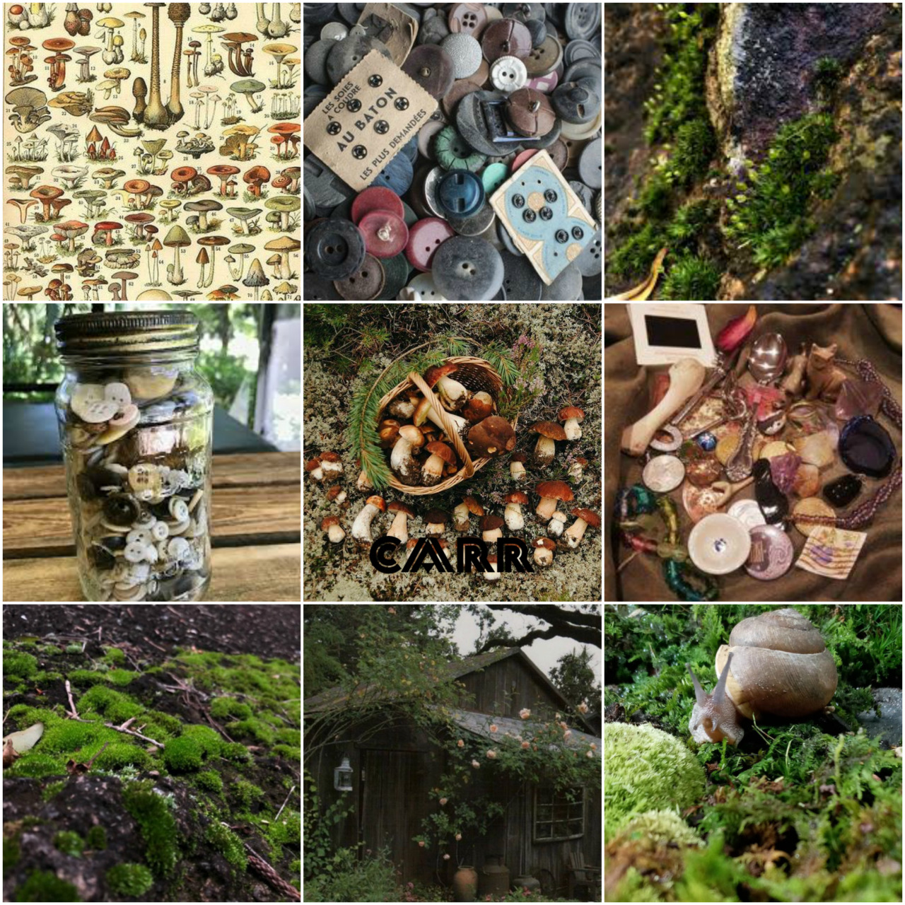 goblincore aesthetic  Goblincore aesthetic, Aesthetic collage