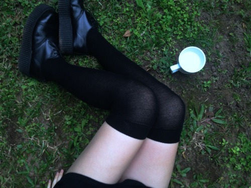 leaaves:  plahnts:  ❁  talk to me if you’re sad or lonely x 