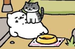 tubbs-hate:  Crush him, Pickles. c r u s