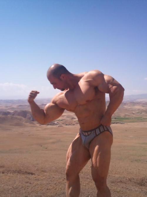 Mounds of muscles - let your eyes wander - WOOF