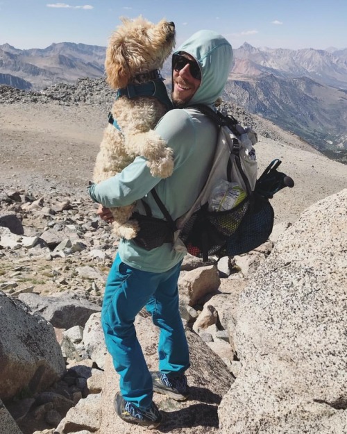 How many of you bring your pets along on your adventures? (at California) www.instagram.com/