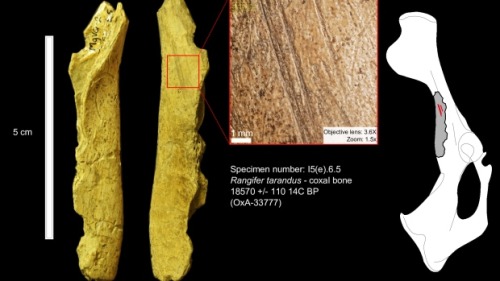 northernbushcraft:Yukon home to 1st traces of humans in North America 24,000 years ago, research s