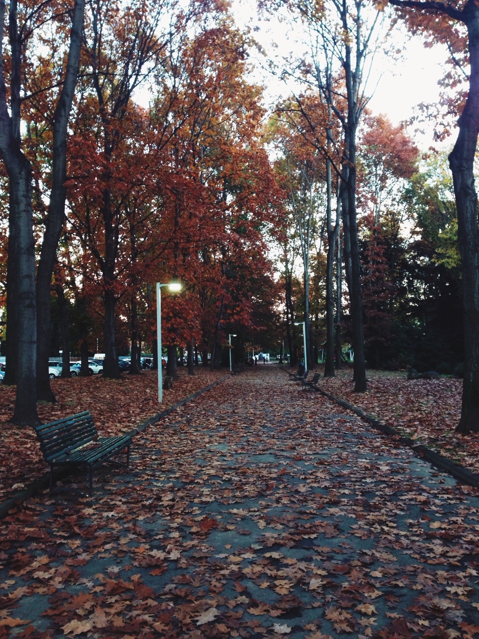 hugsandcupsoftea:Autumn-winter 🍁⛄️
