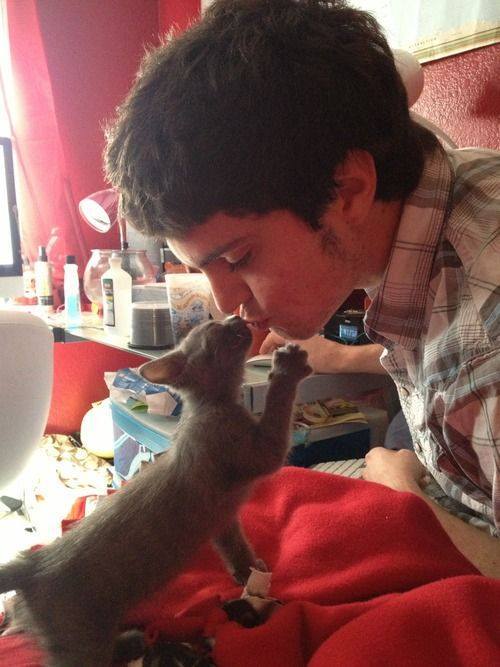 catsbeaversandducks:  “All you need is love… and a cat.” Photos via Real Men
