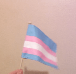 Happy Trans Awareness Day!!!