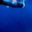 pukka-sea-kid