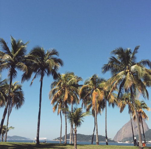 ondaslunares:    ondaslunares​ ❁   