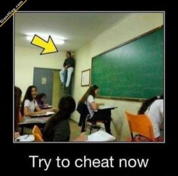 giantgag-official:  Funny pictures of the day (99 pics) Try To Cheat Now