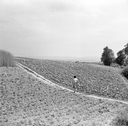 Paweł PierścińskiKrajno, 1962Łączna, 1959 (bottom photo)