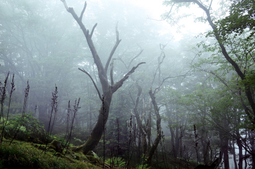 Mt.Oike / Mie Prefecture by Seiuchi F