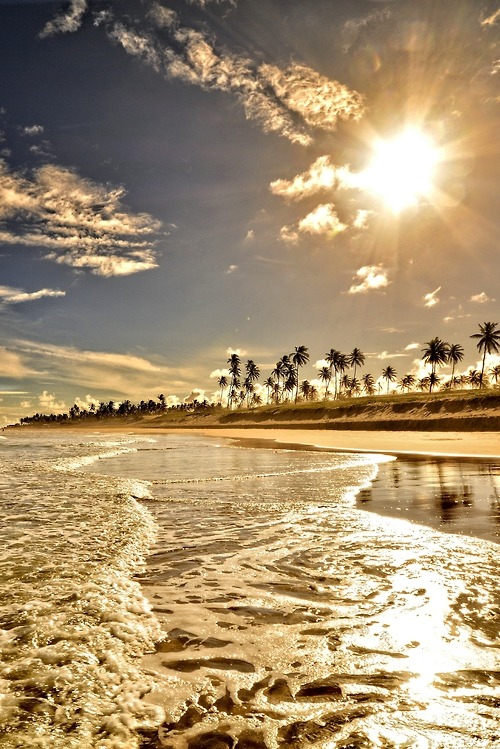 royalindulgence: