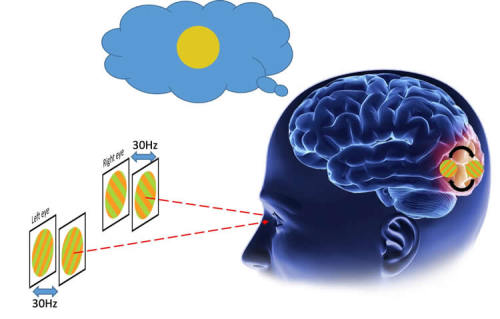 neurosciencenews - Human Early Visual Cortex Subconsciously...