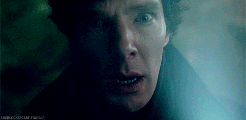 sherlockspeare:  The Foxes of Baskerville. They drove Sherlock crazy.  Inspired by this post. I mean