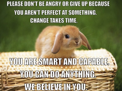 calmingmanatee: steelplatedhearts: I made a series of Calming Bunnies (based off of the Calming Mana