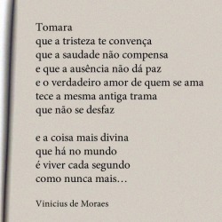 frases, poesias e afins