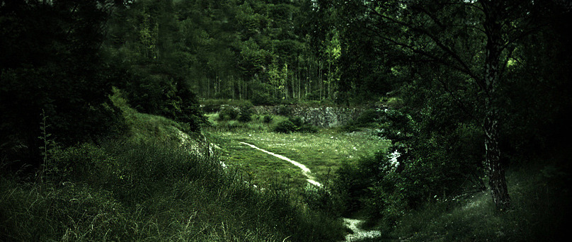 cuiledhwen:Elves land by kostucha