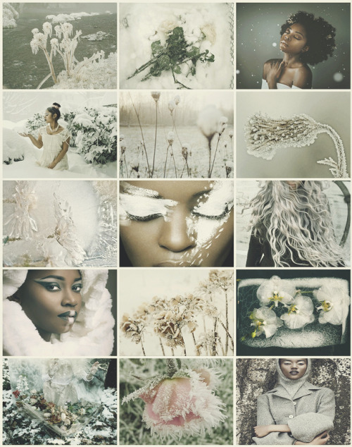 aestheticschaos: Frozen Flowers Fairy aestheticrequested by @yukisetsu