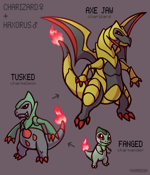 Fanged Charmander are energetic crossbreeds that love to play, but should be kept among hardy playma