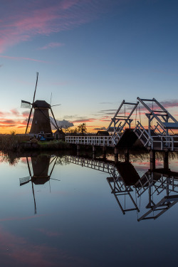 woolcott:  Bridge - Photographer - Woolcott 