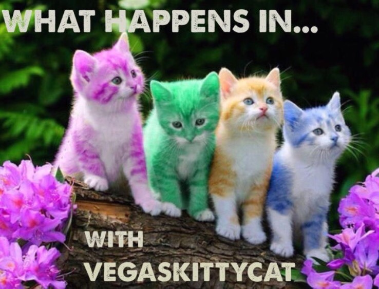 vegaskittycat:  Check it out Monday February 20 on @cheesewhizexpress   