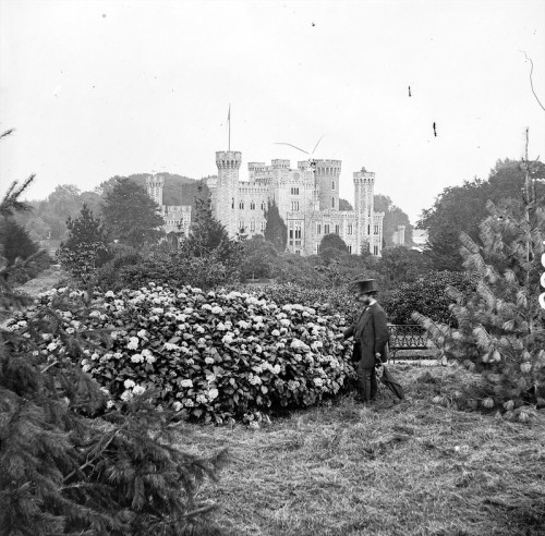 Johnstown Castle, Wexford, ca. 1870