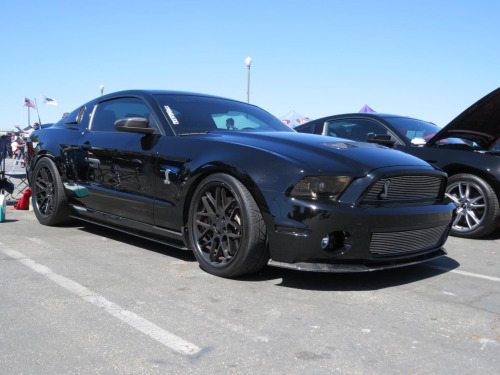 Muscle Cars Fans